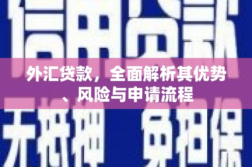 靖远外汇贷款，全面解析其优势、风险与申请流程