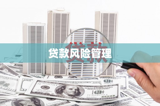 靖远贷款风险管理