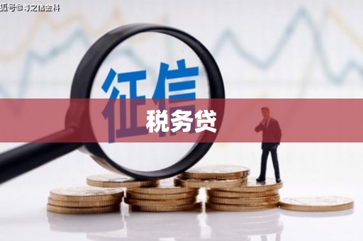 靖远税务贷