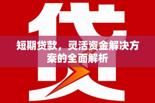 靖远短期贷款，灵活资金解决方案的全面解析