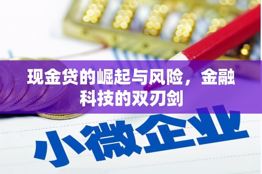 靖远现金贷的崛起与风险，金融科技的双刃剑