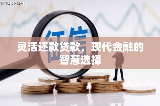 靖远灵活还款贷款，现代金融的智慧选择