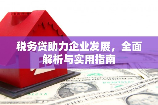 靖远税务贷助力企业发展，全面解析与实用指南