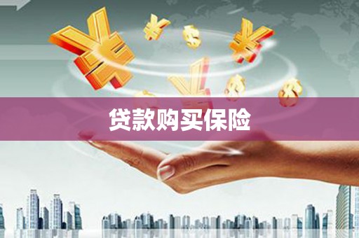 靖远贷款购买保险