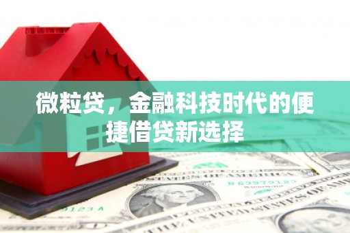 靖远微粒贷，金融科技时代的便捷借贷新选择