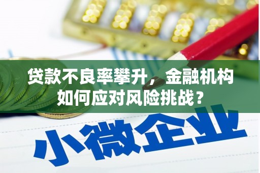 靖远贷款不良率攀升，金融机构如何应对风险挑战？