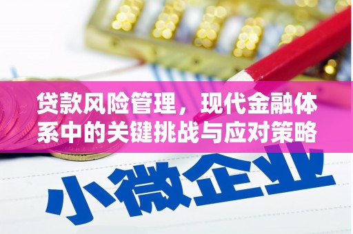 靖远贷款风险管理，现代金融体系中的关键挑战与应对策略