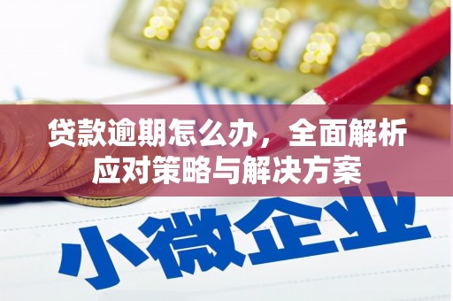 靖远贷款逾期怎么办，全面解析应对策略与解决方案