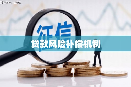 靖远贷款风险补偿机制
